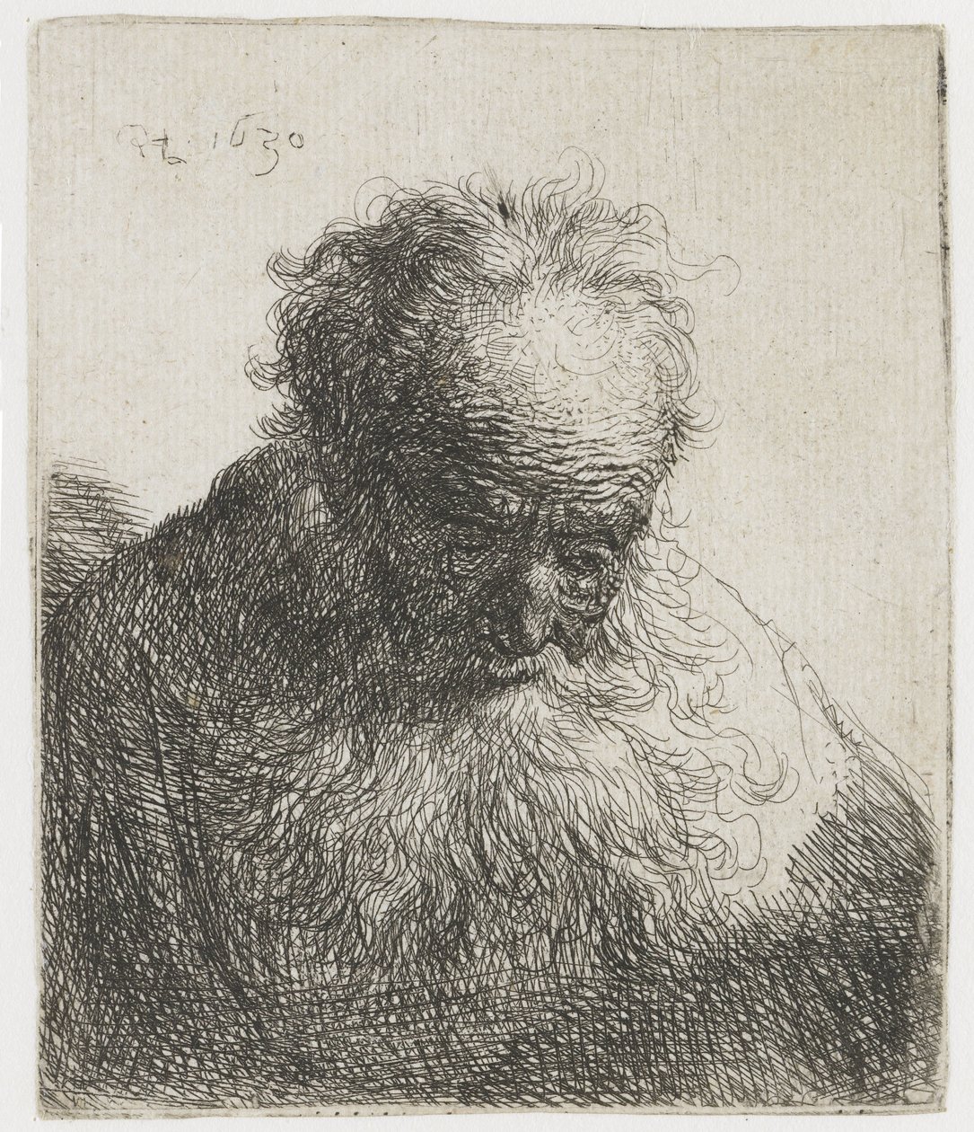 Vieil homme à la barbe flottante, épaule gauche non ombrée - Rembrandt van Rijn