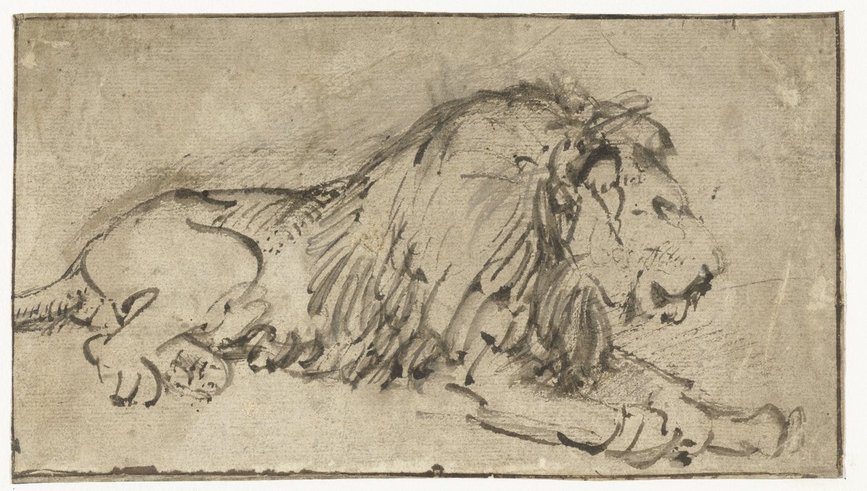 Lion couché - Rembrandt van Rijn