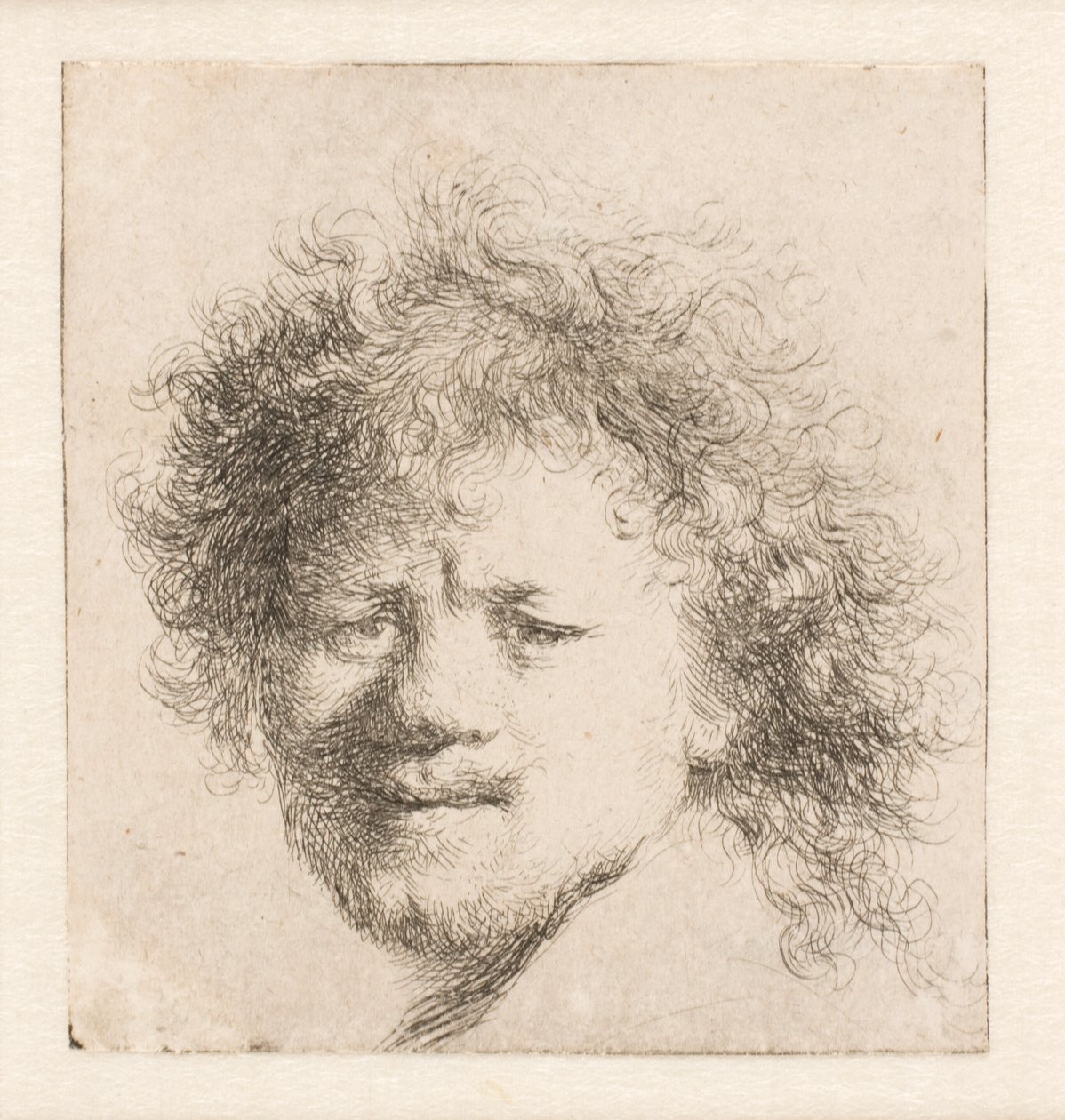 Rembrandt aux cheveux longs et touffus : tête seule - Rembrandt van Rijn