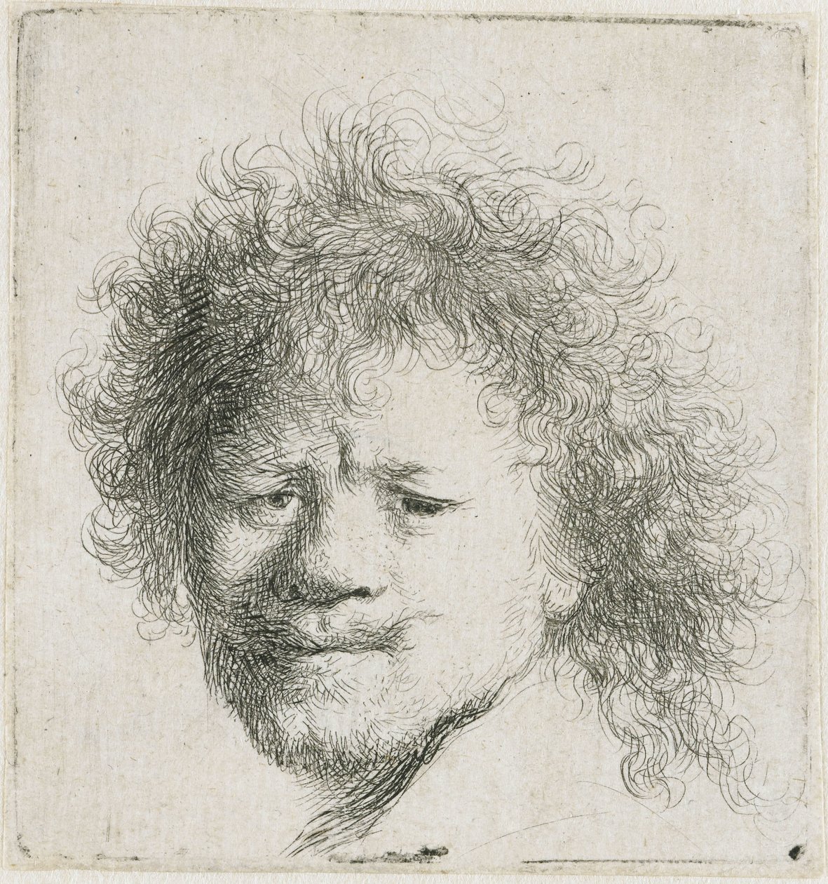 Autoportrait aux cheveux longs et touffus : la tête seule - Rembrandt van Rijn