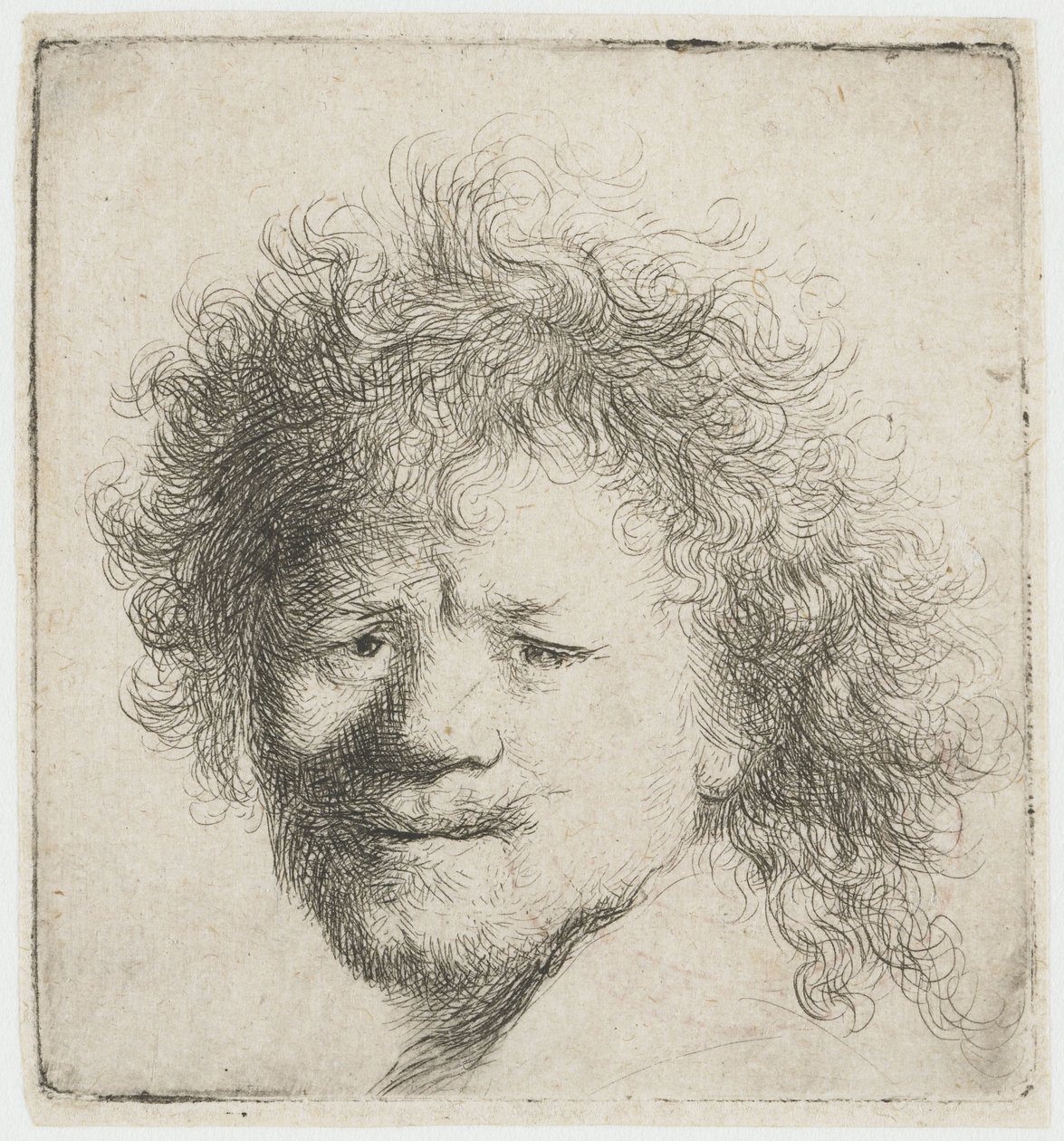 Autoportrait aux cheveux longs et touffus : la tête seule - Rembrandt van Rijn