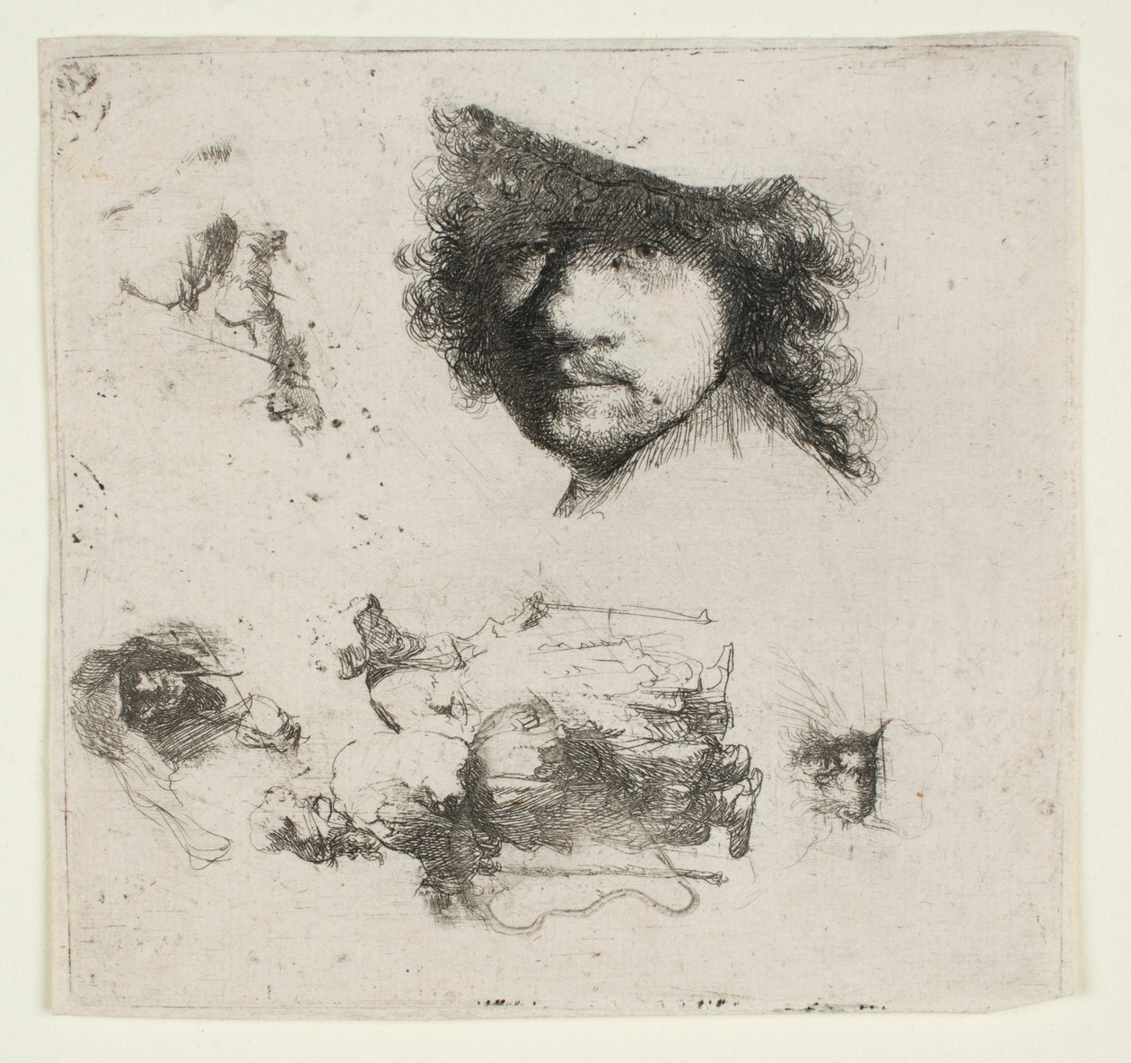 Feuille d