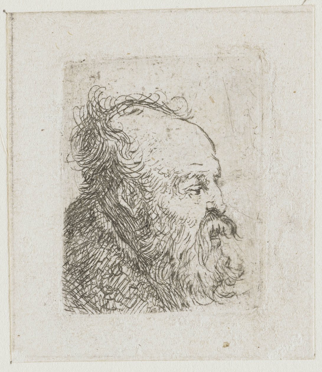 Feuille d