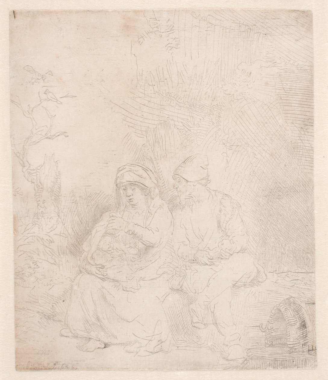 Le reste du vol : légèrement marqué - Rembrandt van Rijn