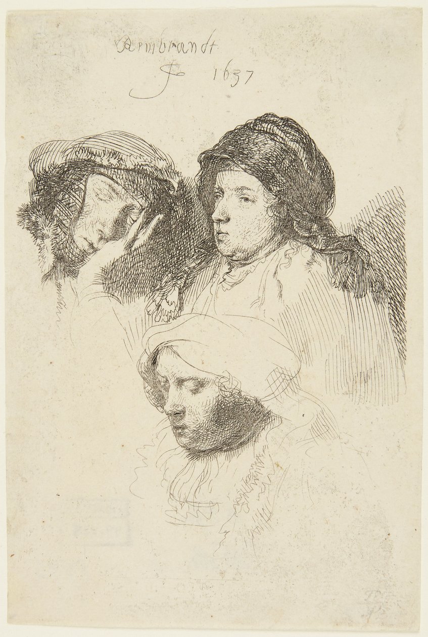 Trois têtes de femmes - Rembrandt van Rijn