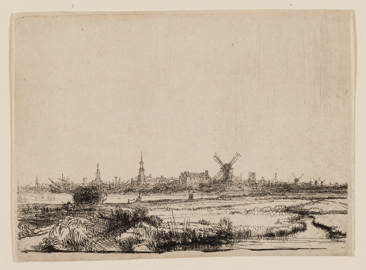 Vue d