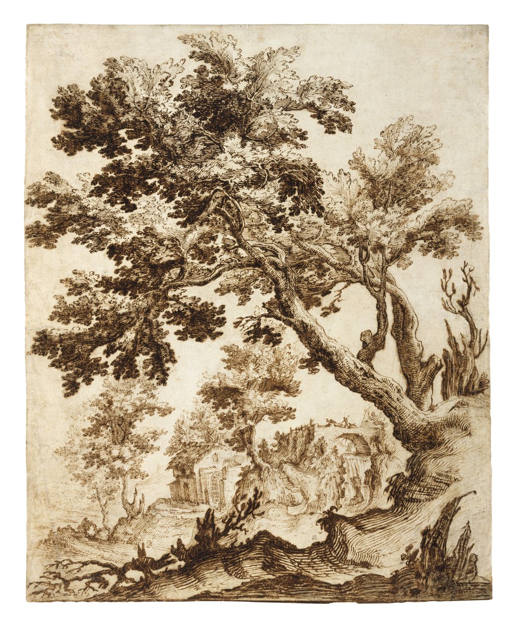 Paysage avec arbre et moulin, début des années 1600 - Remigio Cantagallina