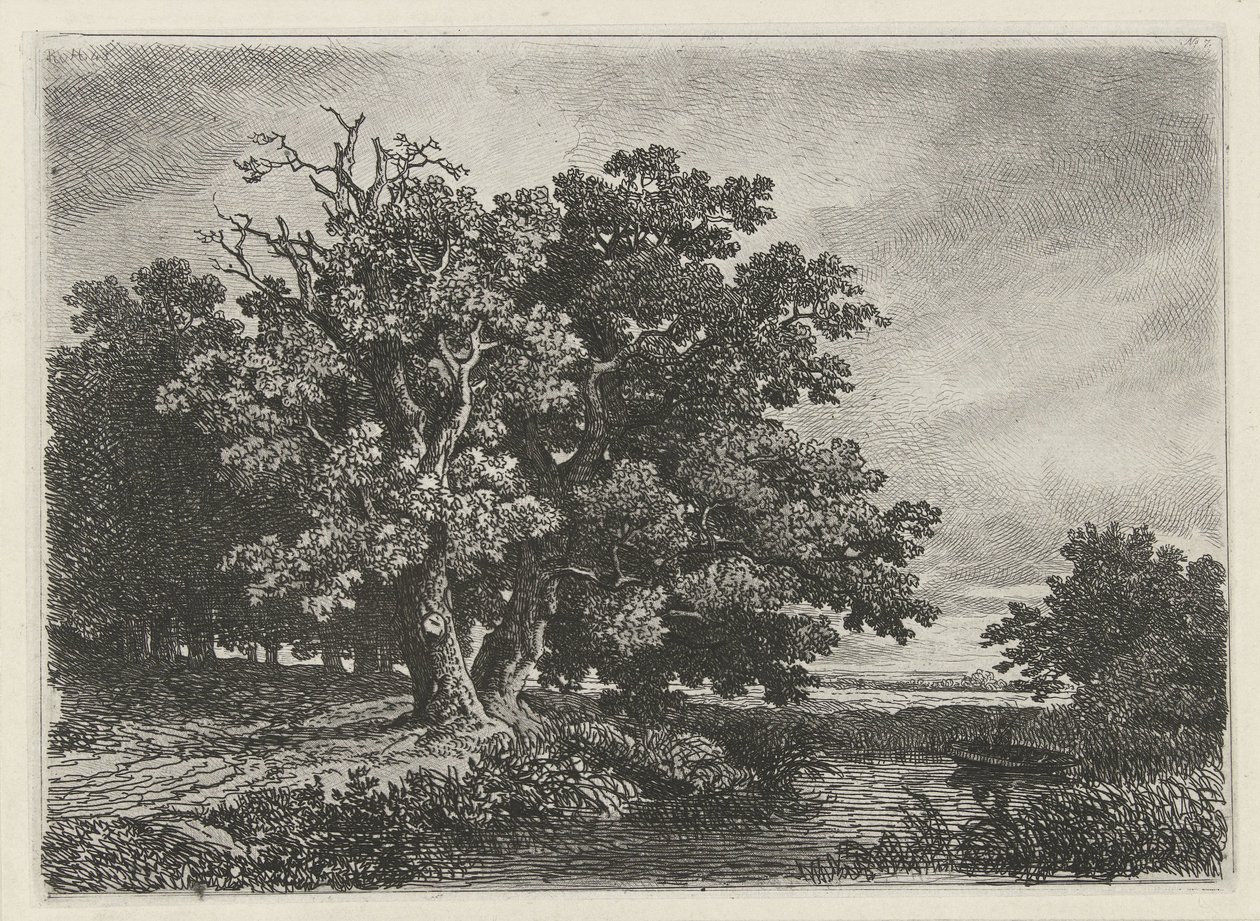 Arbres près d