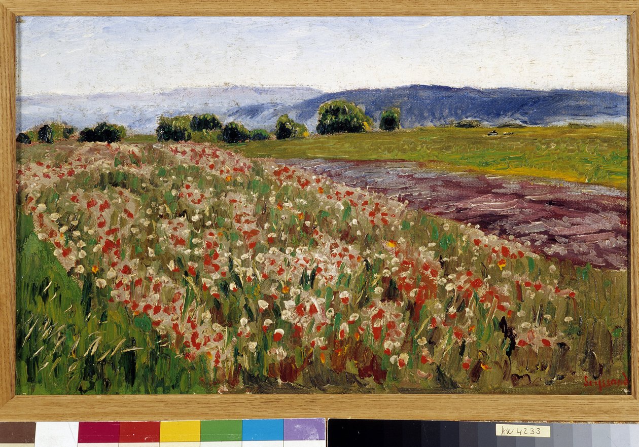 Le champ de coquelicots - Rene Auguste Seyssaud