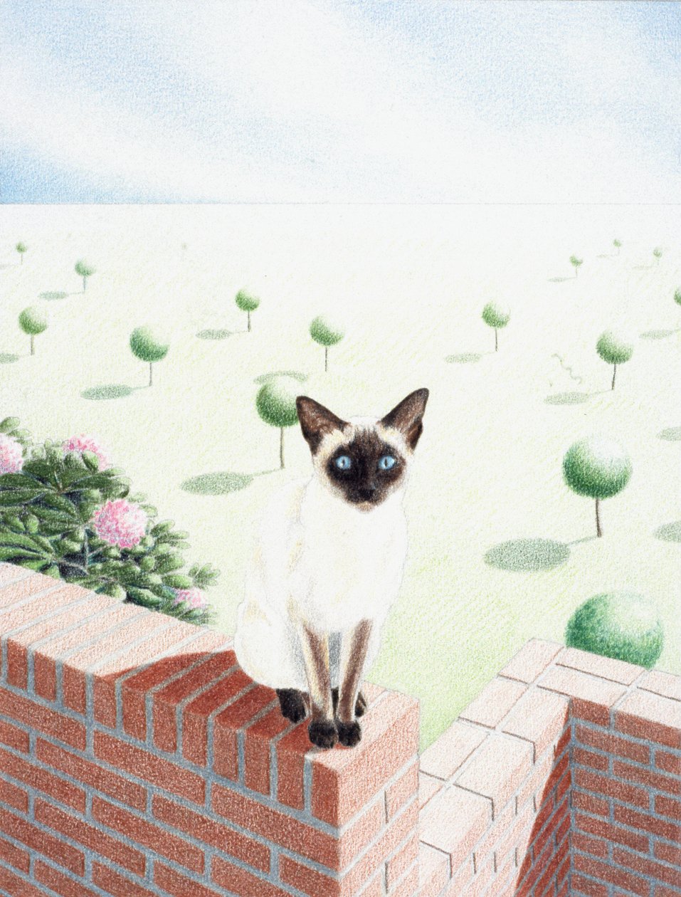 Saké - Rene Boin