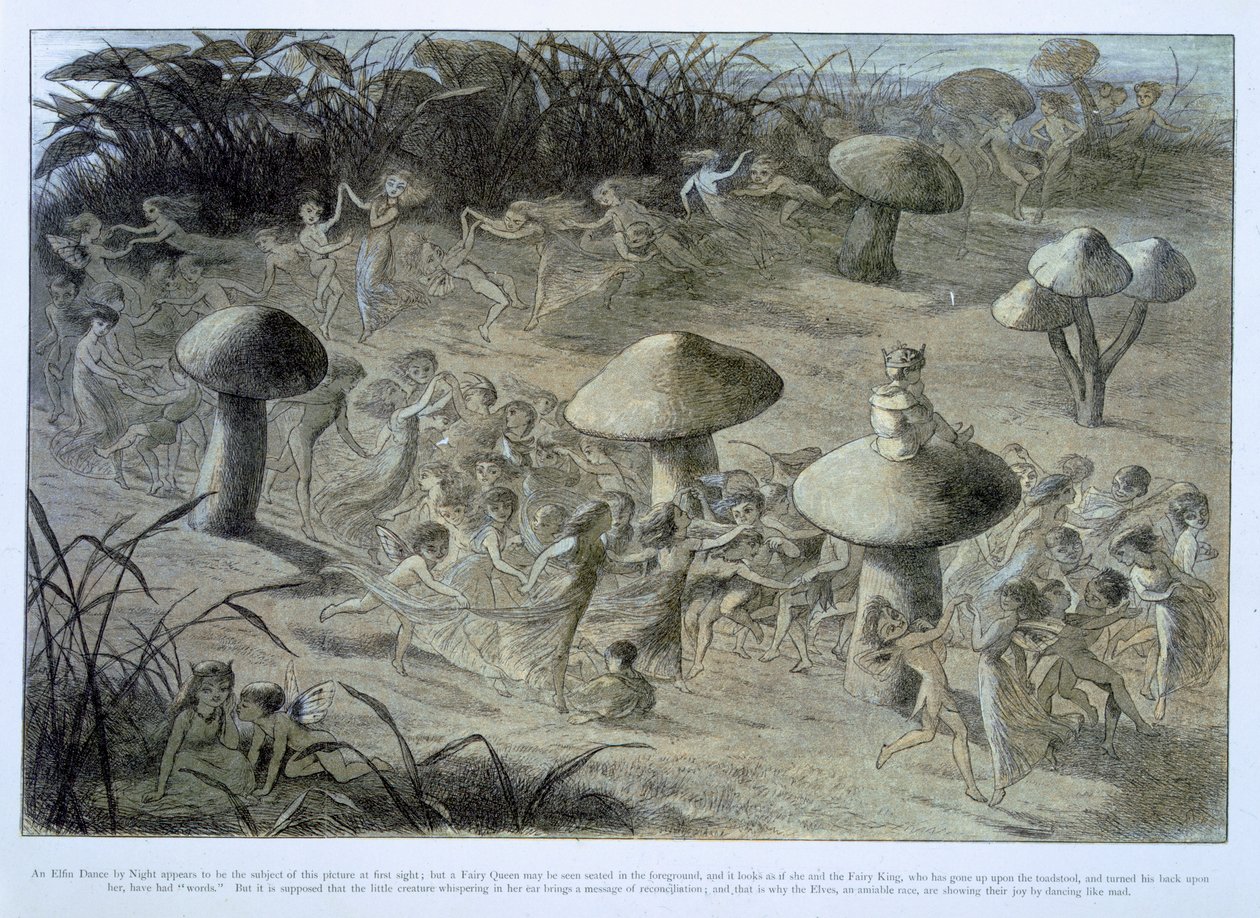 Une danse elfique de nuit, illustration de 