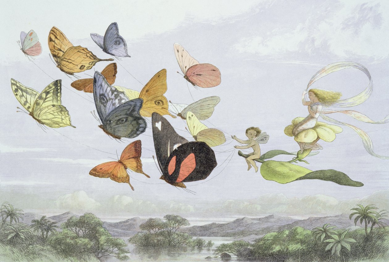 Le carrosse de la reine des fées, illustration de 