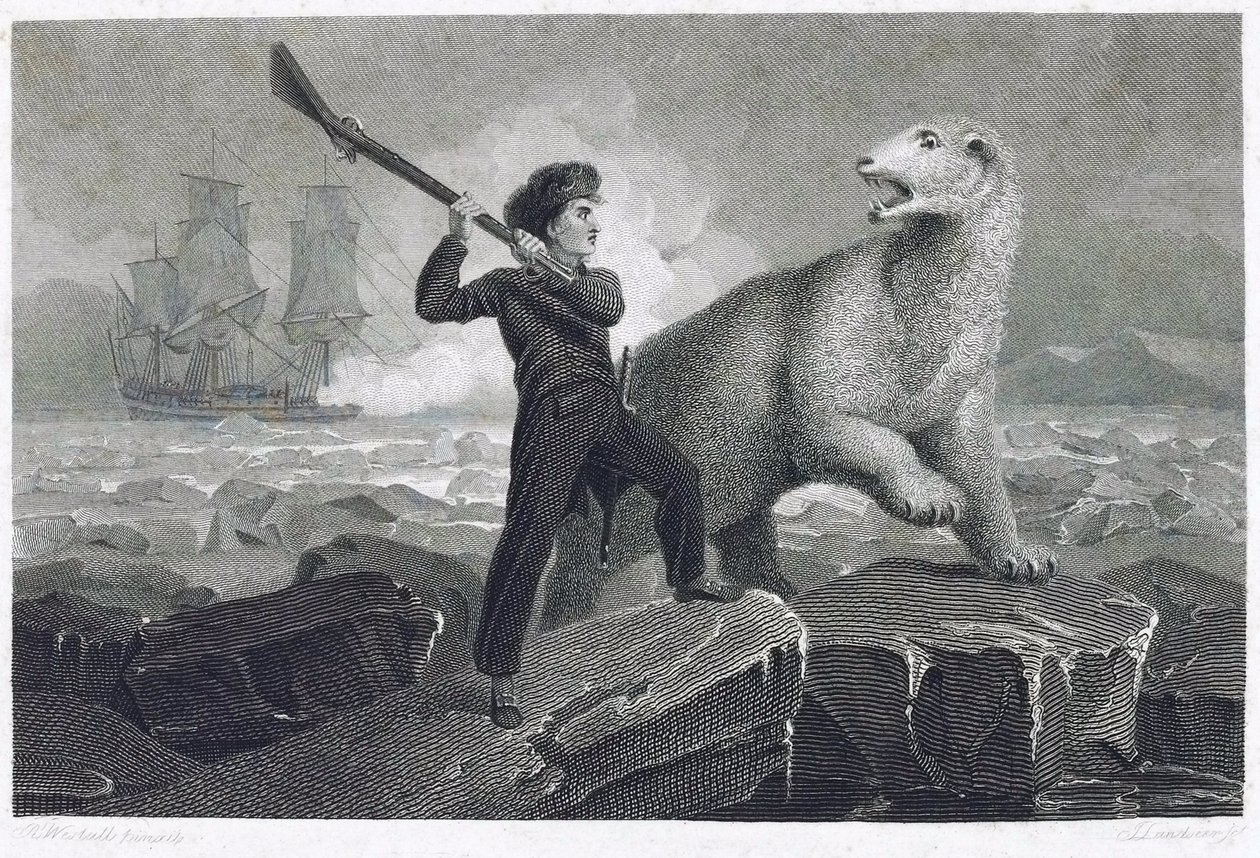 Le jeune Horatio Nelson (1758-1805), participant à une expédition au pôle Nord en 1773, combattant un ours polaire sur la glace, son fusil étant bloqué, il a essayé de le repousser en le frappant avec la crosse, car il voulait offrir à son père un coa - Richard (after) Westall
