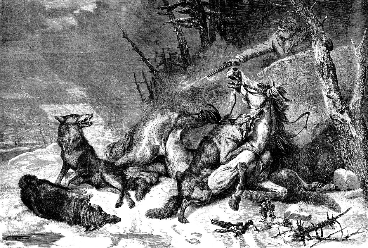 Voyageur à cheval attaqué par une meute de loups - Richard Ansdell