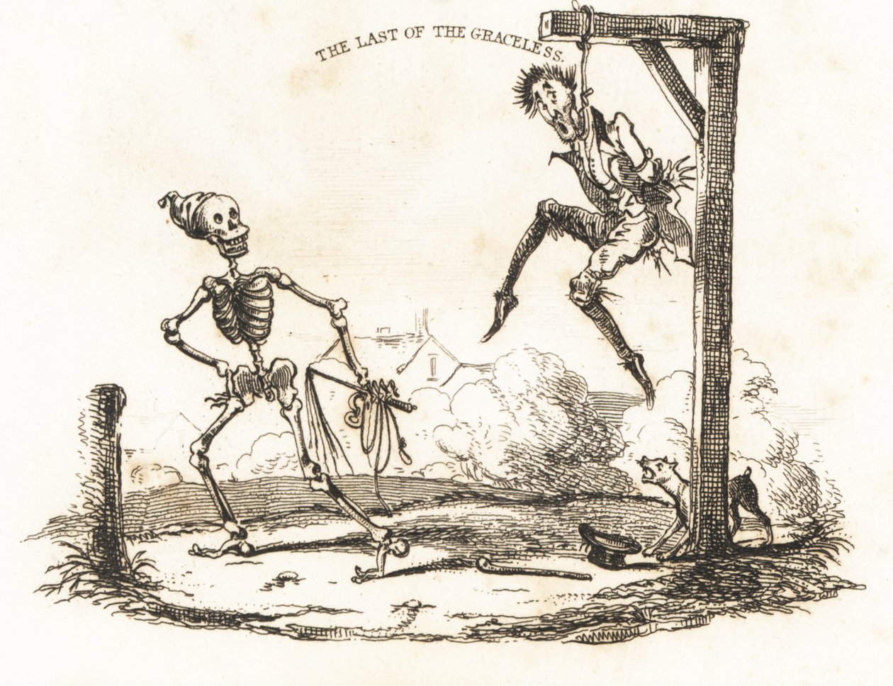 Vignette d