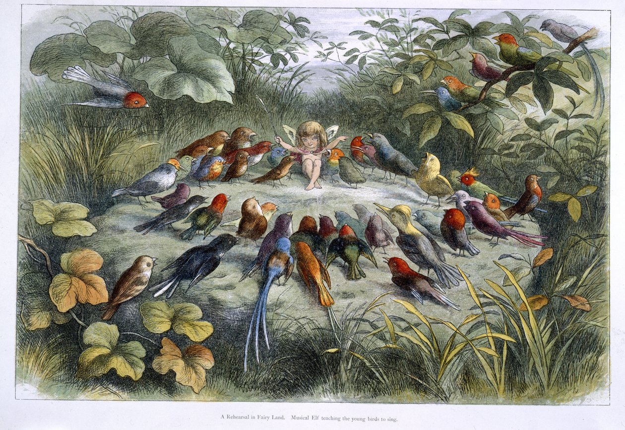 Un elfe et des oiseaux - Richard Doyle
