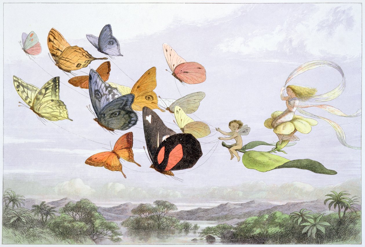 Le Carrosse de la Reine des Fées - Richard Doyle