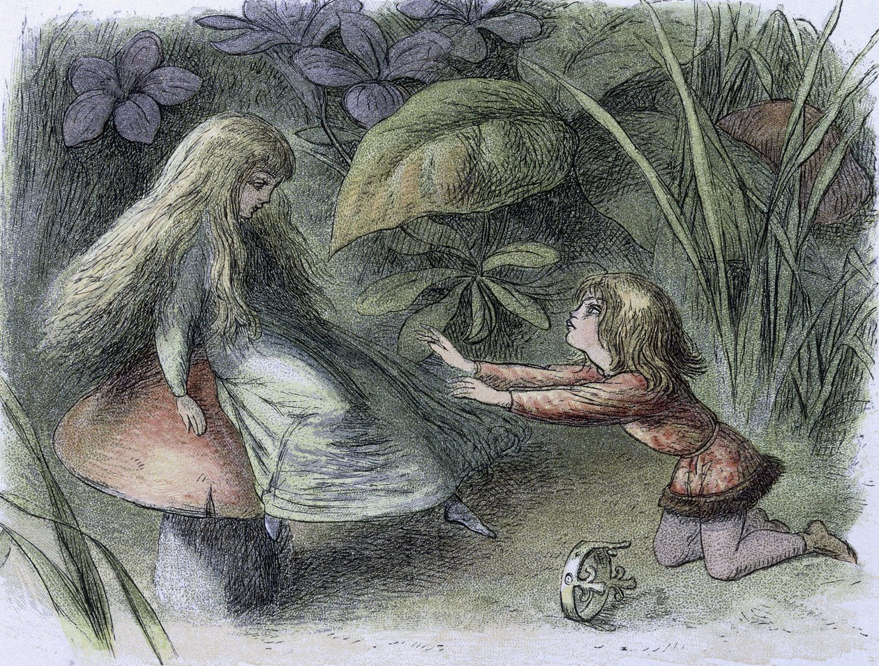 Nénuphars et fées de l