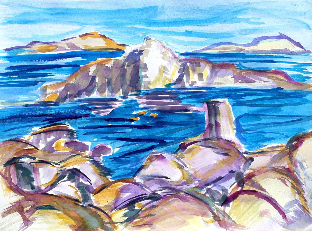 Rochers et reflets, 2019 - Richard Fox