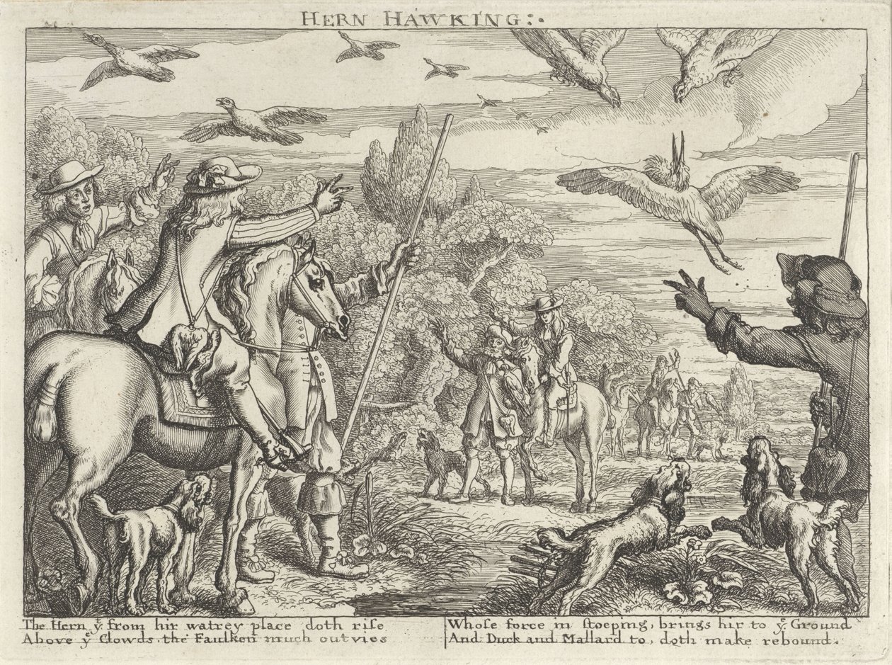 Chasse au faucon sur hérons et canards (diverses manières de chasser, fauconner et pêcher selon la manière anglaise) - Richard Gaywood (possibly)