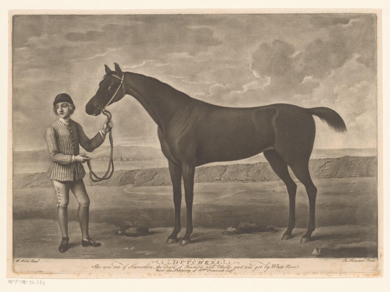 Cheval de course avec jockey - Richard Houston
