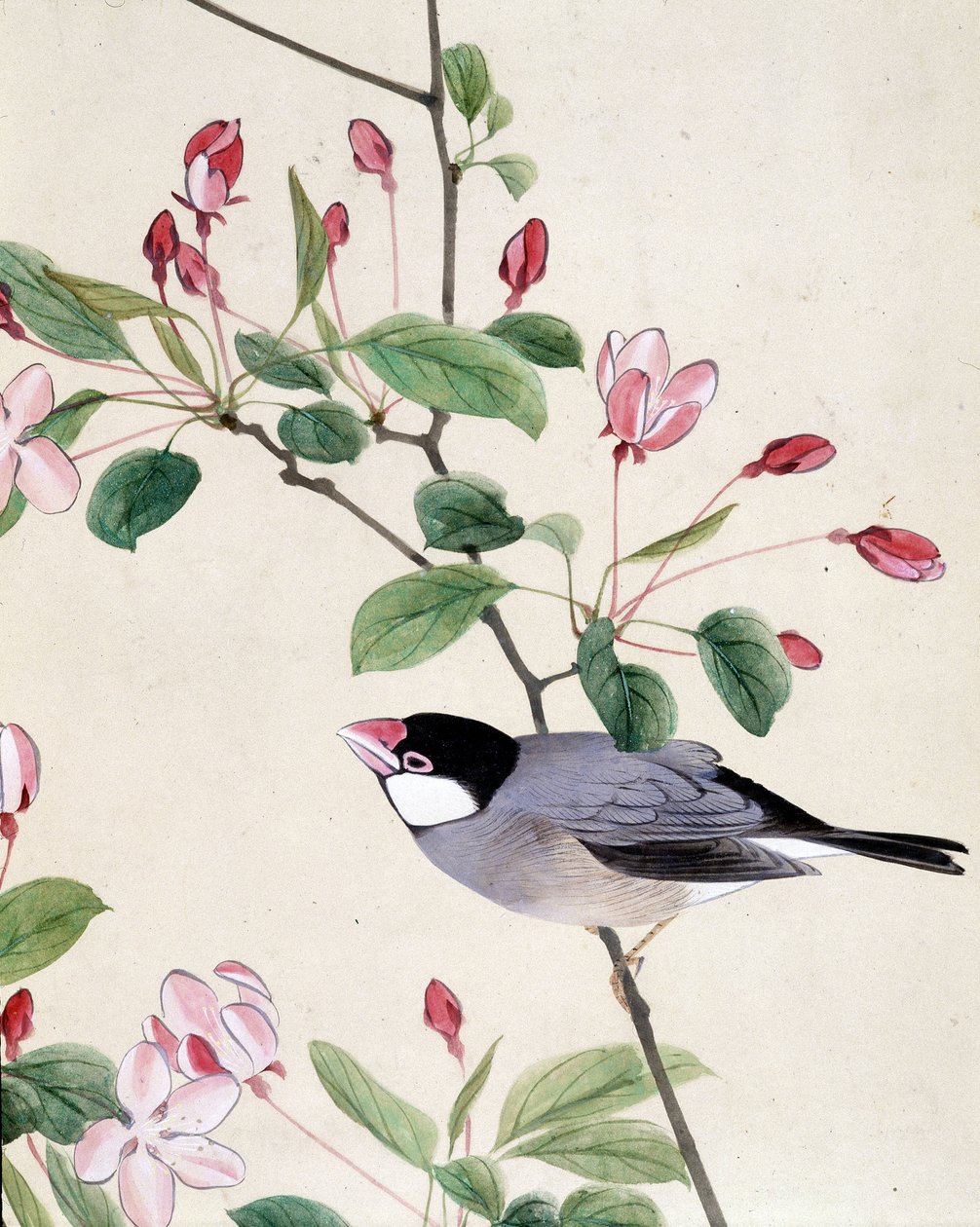 Oiseau - dessin japonais par Riou Chim, fin du XIXe siècle - Riu Chim