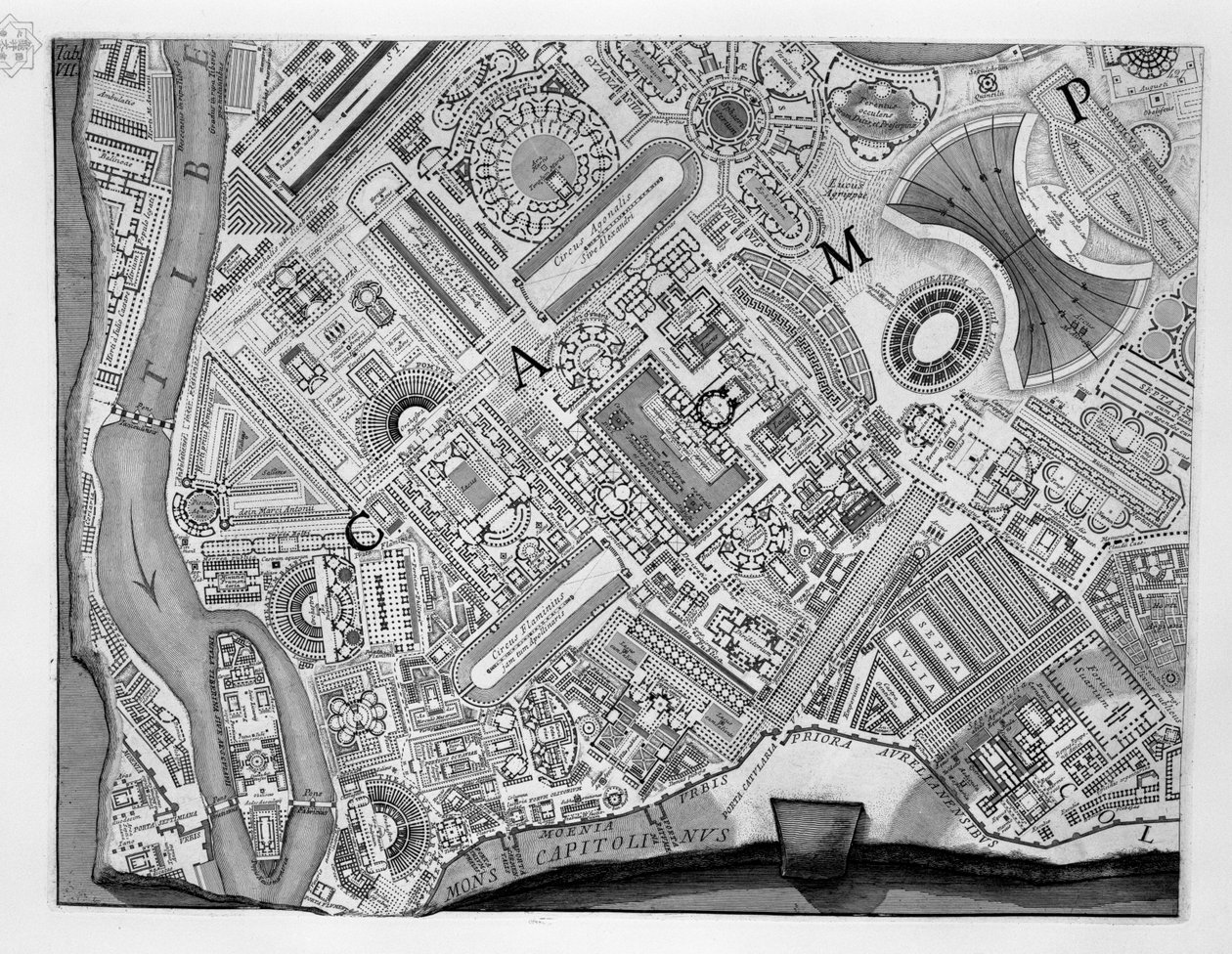 Carte du Campus Martius - Robert Adam