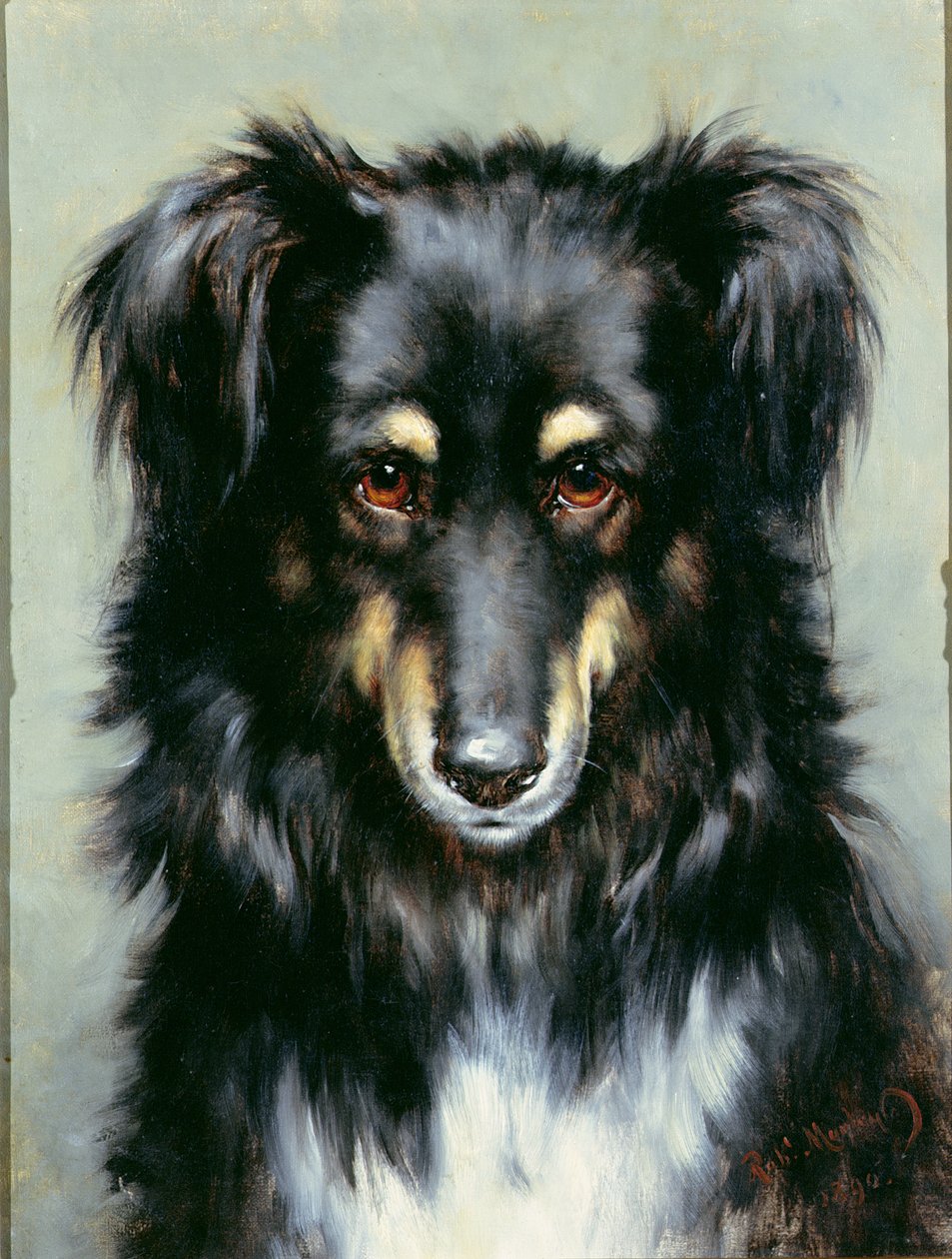 Un colley noir et feu, 1890 - Robert Morley