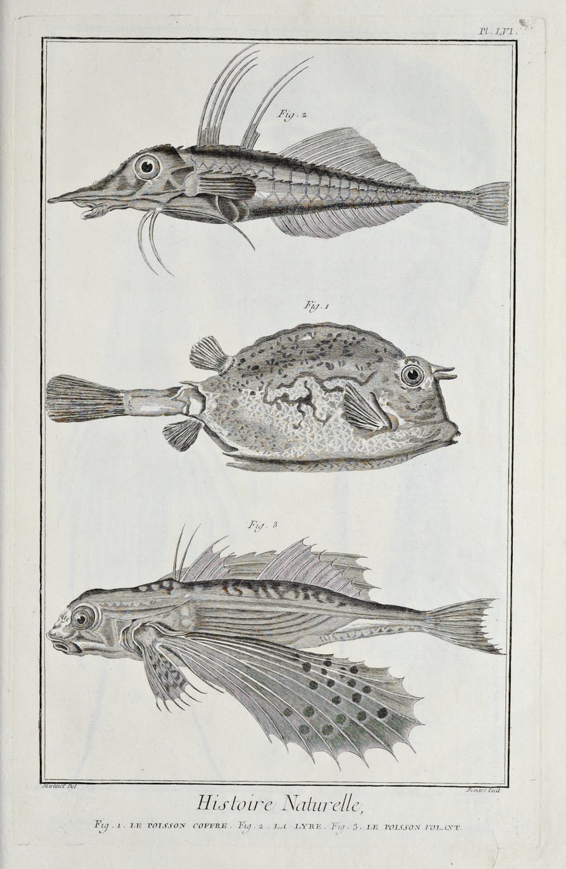 Illustration du 