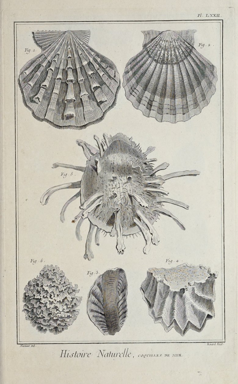 Illustration du 