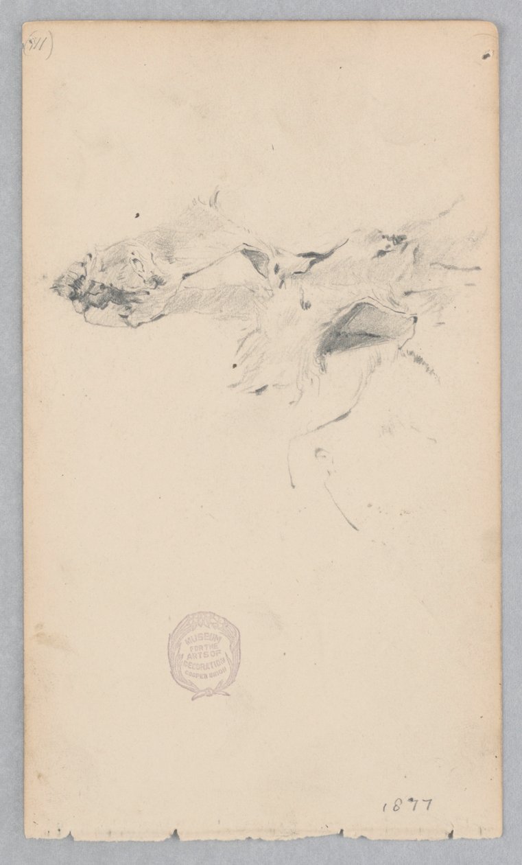Tapis en peau de tigre - Robert Frederick Blum