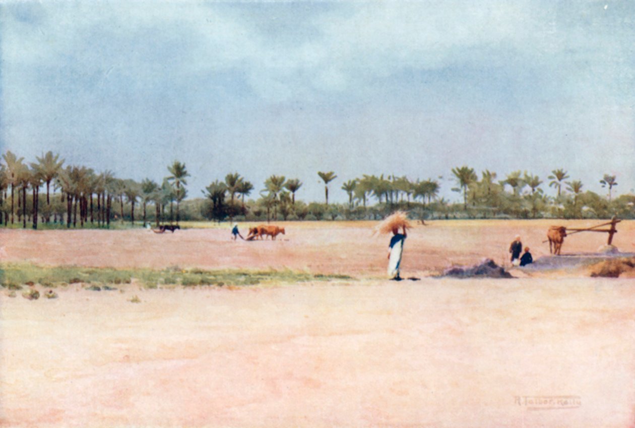 Esbet-el-Ekiad - Terre de Goshen (lithographie couleur) - Robert George Talbot Kelly