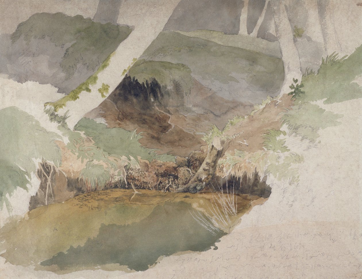 Piscine forestière - Robert Hills