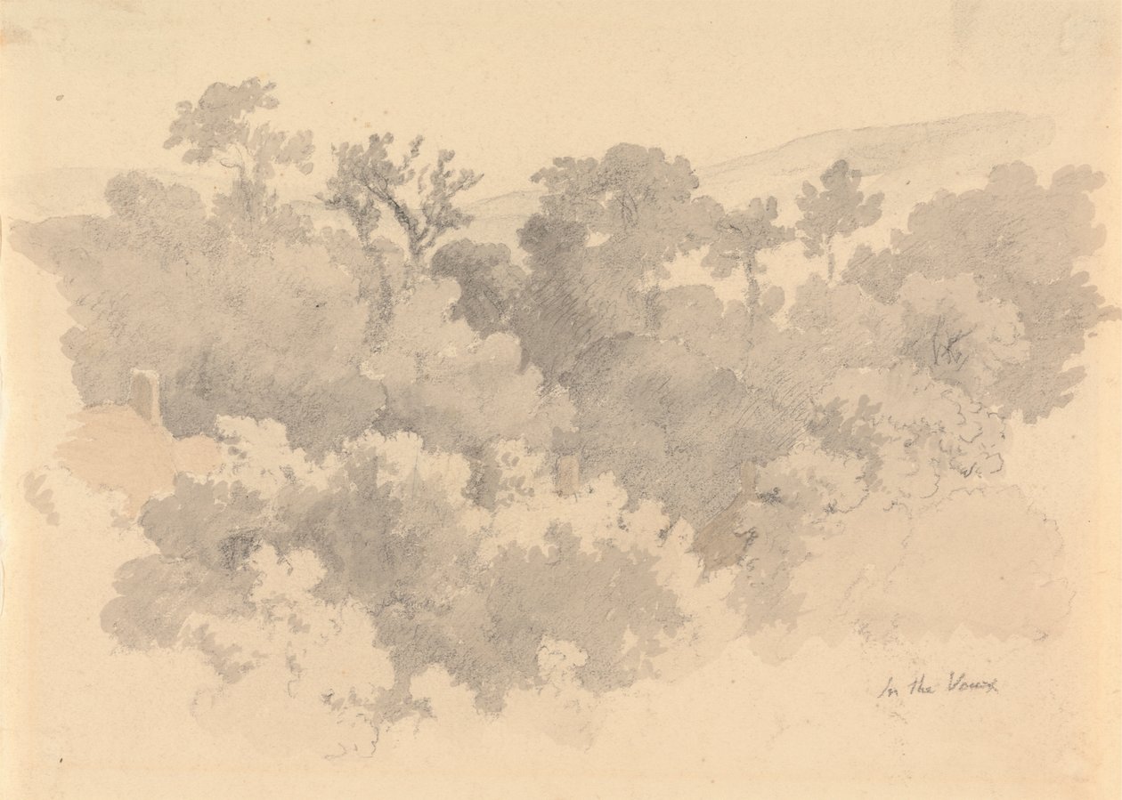 Dans les Vaux, Jersey - Robert Hills