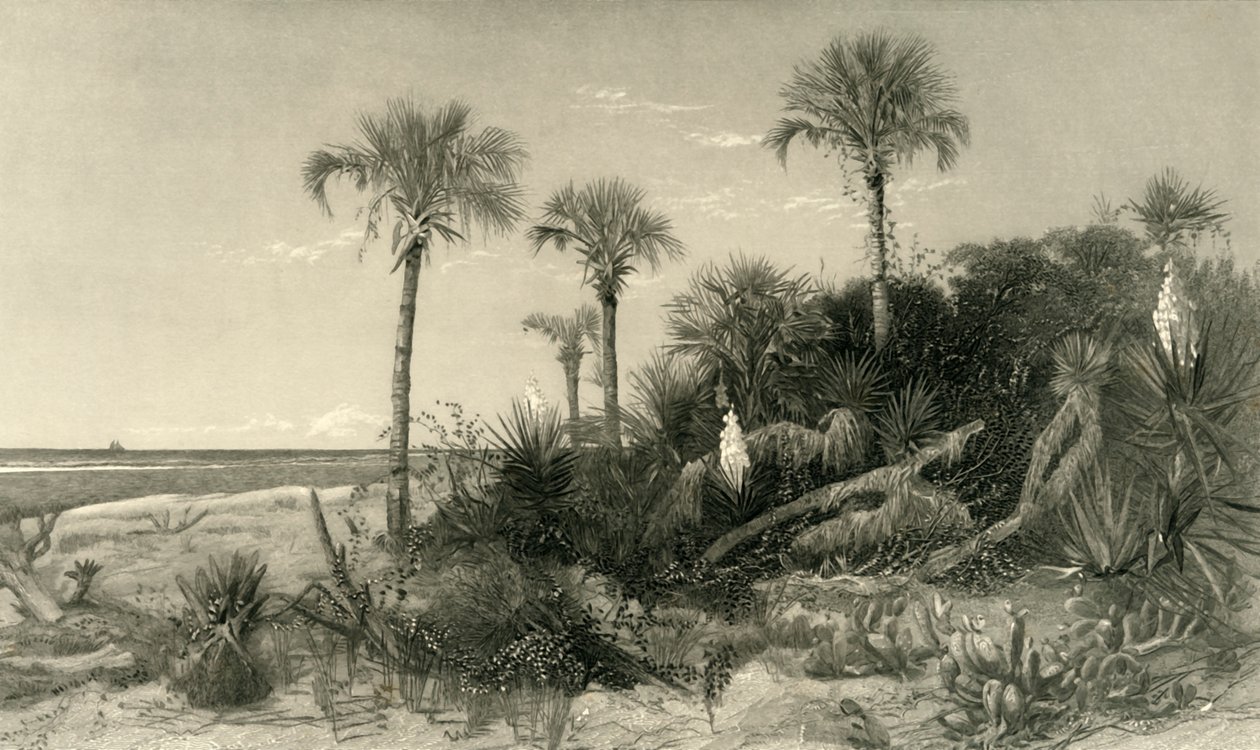 Sur la côte de Floride - Robert Hinshelwood