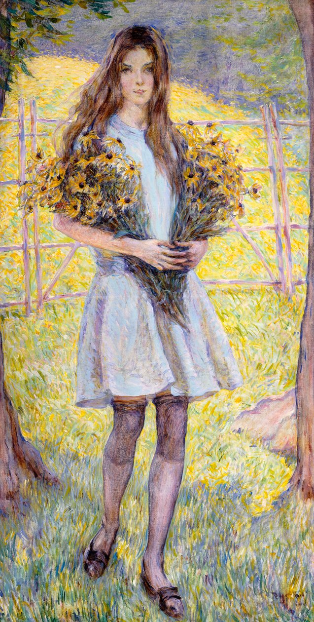 Rudbeckies - Robert Reid