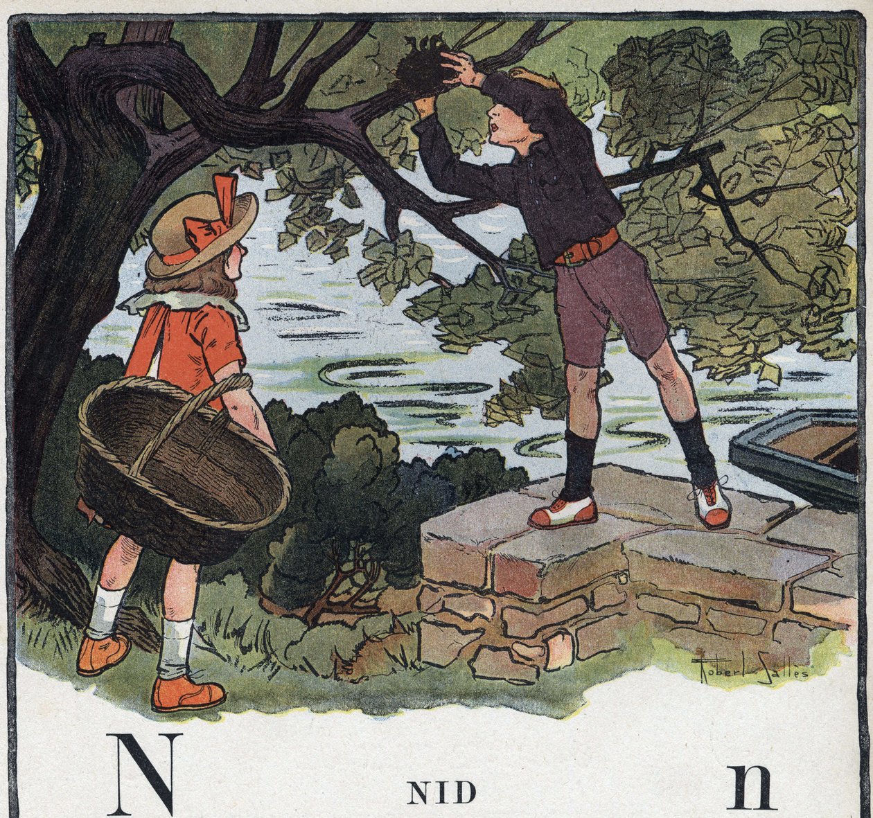 Livre pour enfants « Je saurai lire - Alphabet méthodique et amusant par un papa » 1926. Illustration de Robert Salles (1871-1929). Abécédaire : lettre N comme nid. Un garçon prend un nid construit sur un arbre - Robert Salles