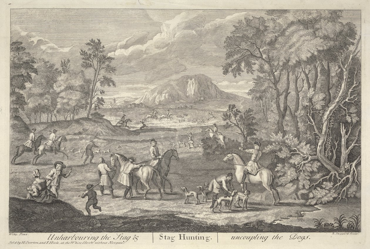 Débusquer le cerf - Robert Sheppard