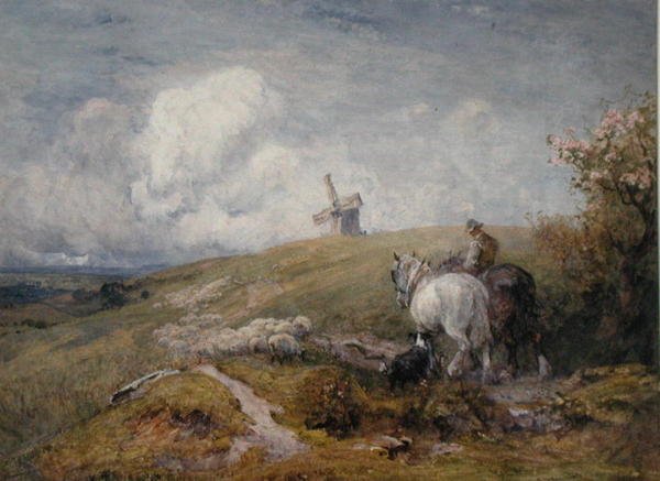 Conduire des Moutons sur les South Downs - Robert Thorne-Waite