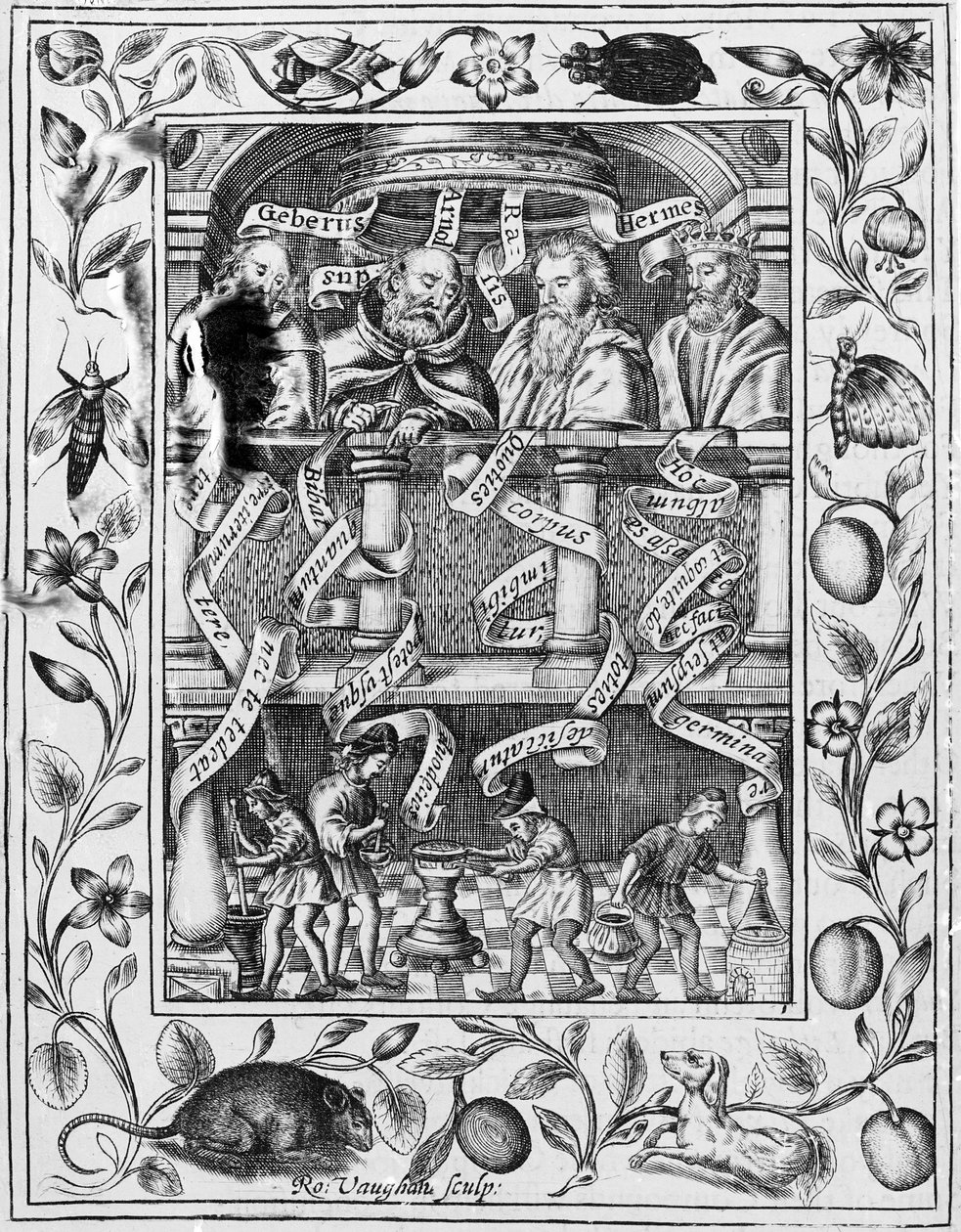 Les grands alchimistes inspirent le travail dans le laboratoire du Theatrum Chemicum Britannicum, 1652 - Robert Vaughan