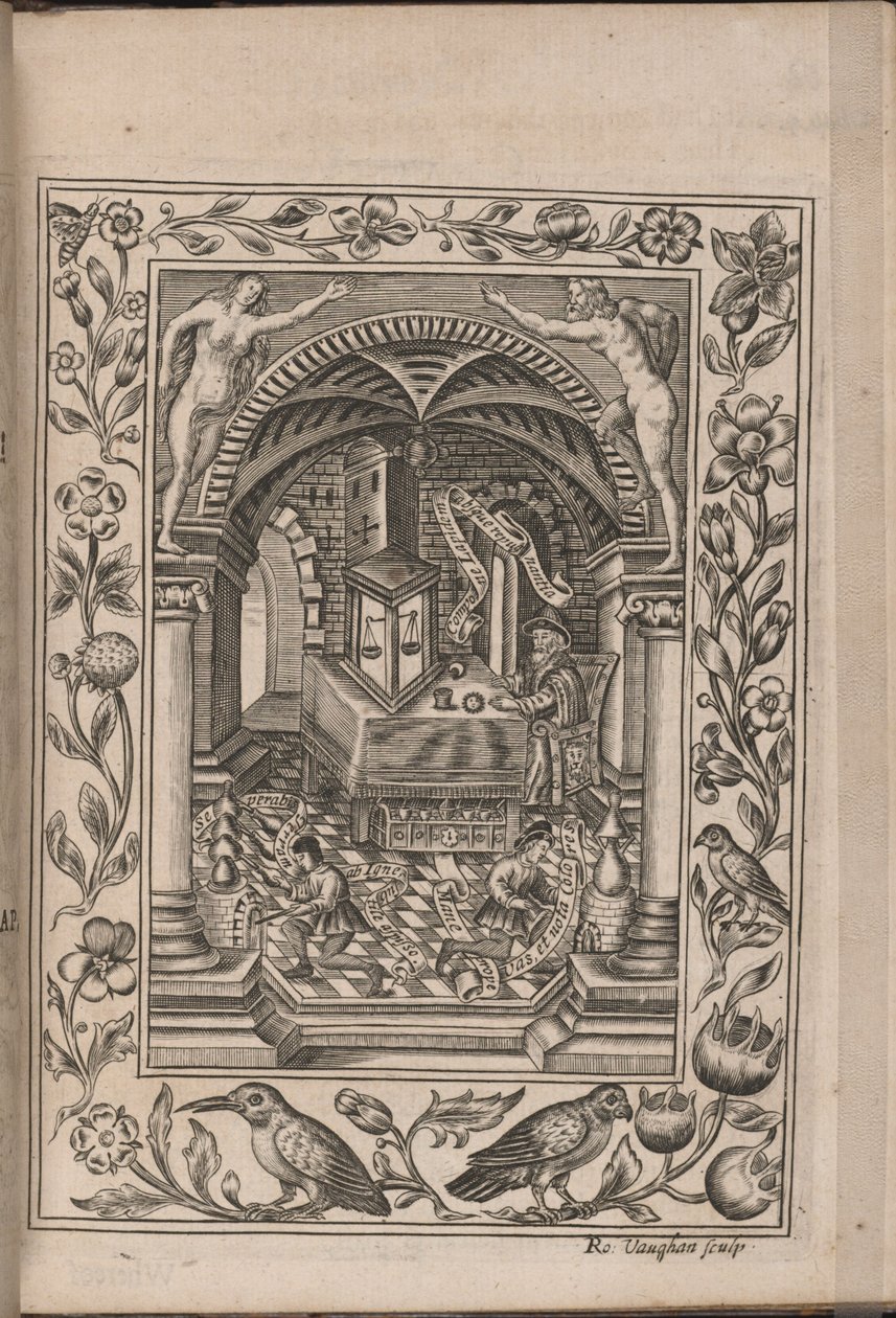 Theatrum chemicum Britannicum - Robert Vaughan