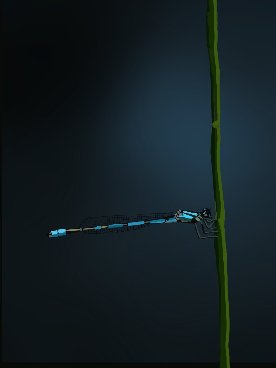 Demoiselle, 2022 - Roberta Murray