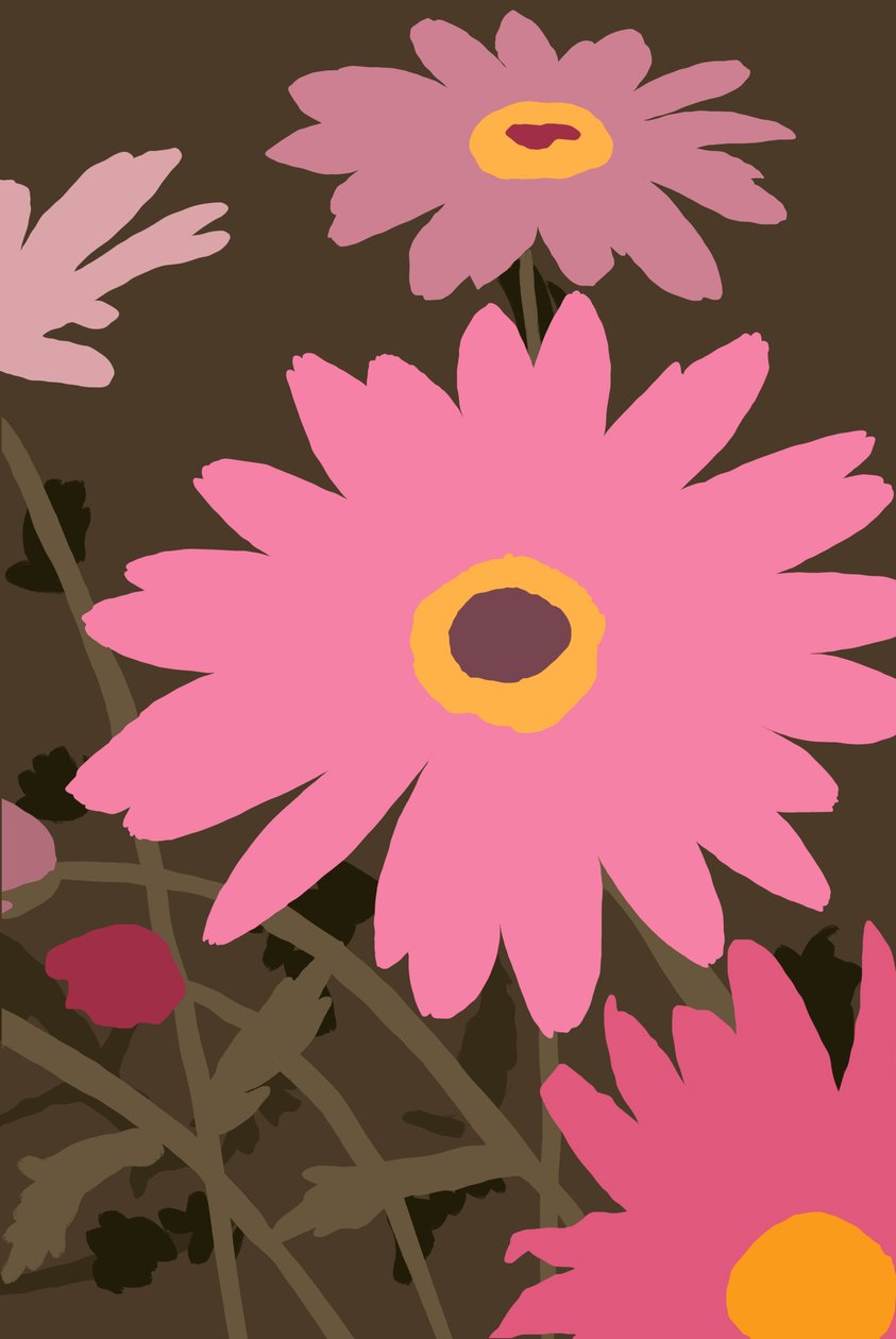 Marguerites peintes - Roberta Murray