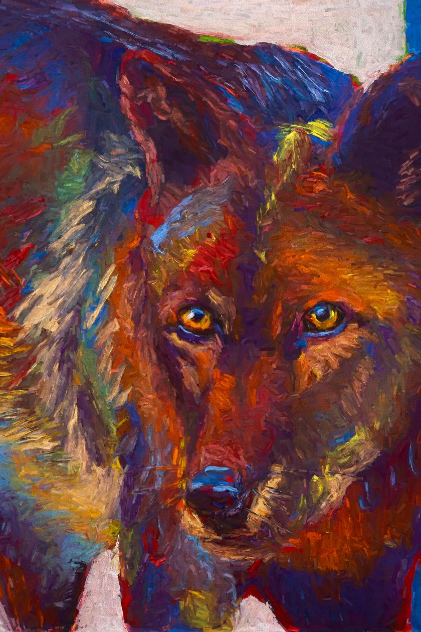 Regard Fixe, 2019 - Roberta Murray