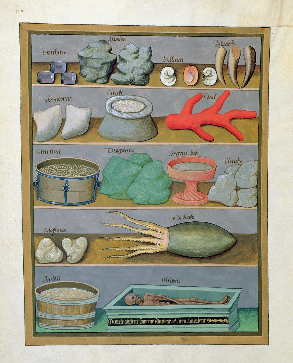 Illustration du Livre des Simples Médecines par Mattheaus Platearius 166v - Robinet Testard