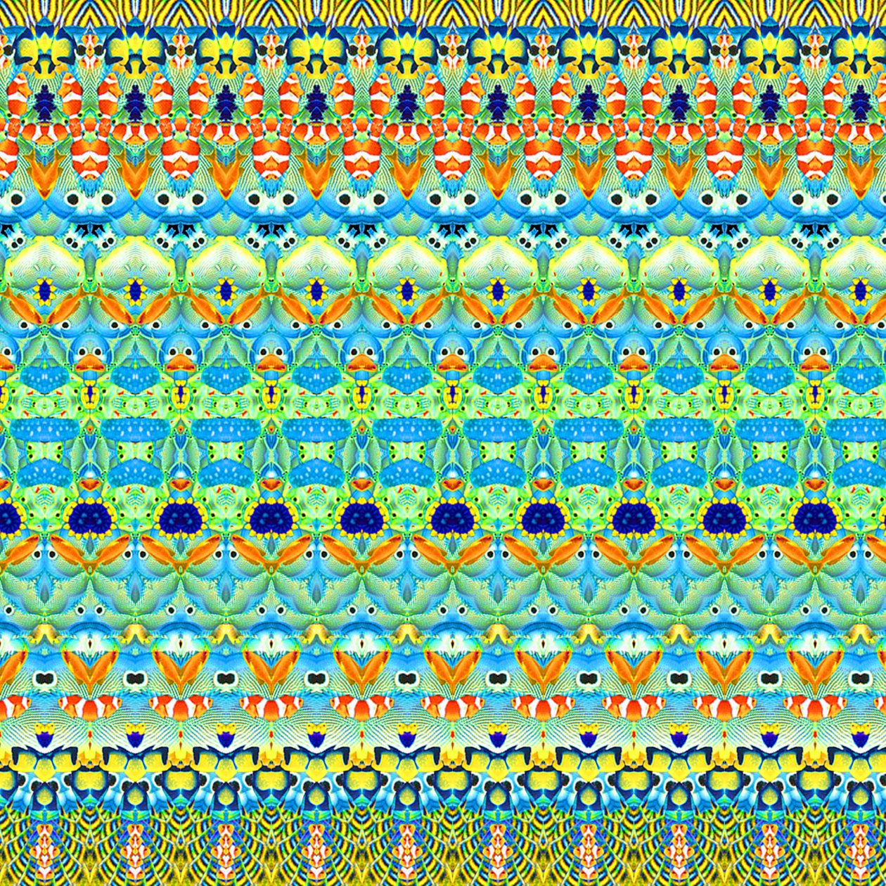 Poisson tropical rayé - Robyn Parker