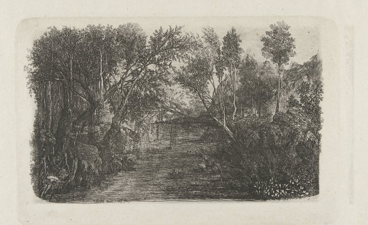 Paysage avec ruisseau et arbres sur les rives - Rodolphe Bresdin