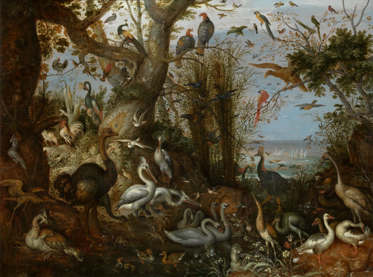 Volaille - Roelandt Jacobsz. Savery