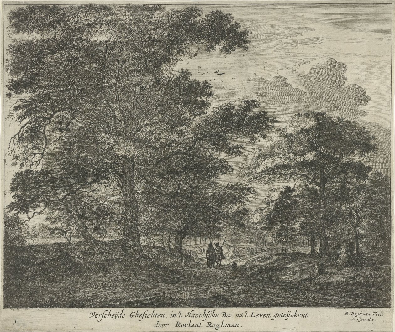 Sentier forestier dans la forêt de La Haye - Roelant Roghman