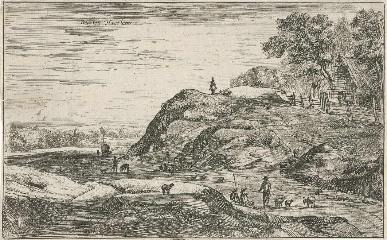 Vue hors de Haarlem - Roelant Roghman